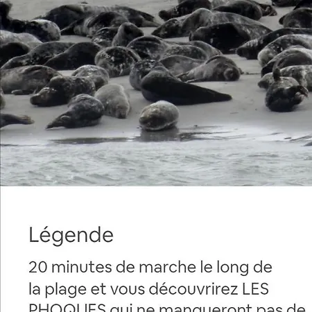 Mini Tarif Pour Un Maxi Confort *